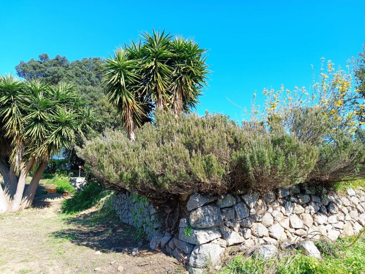 Vinha Do Gaio Villa Montes de Cima Exterior foto